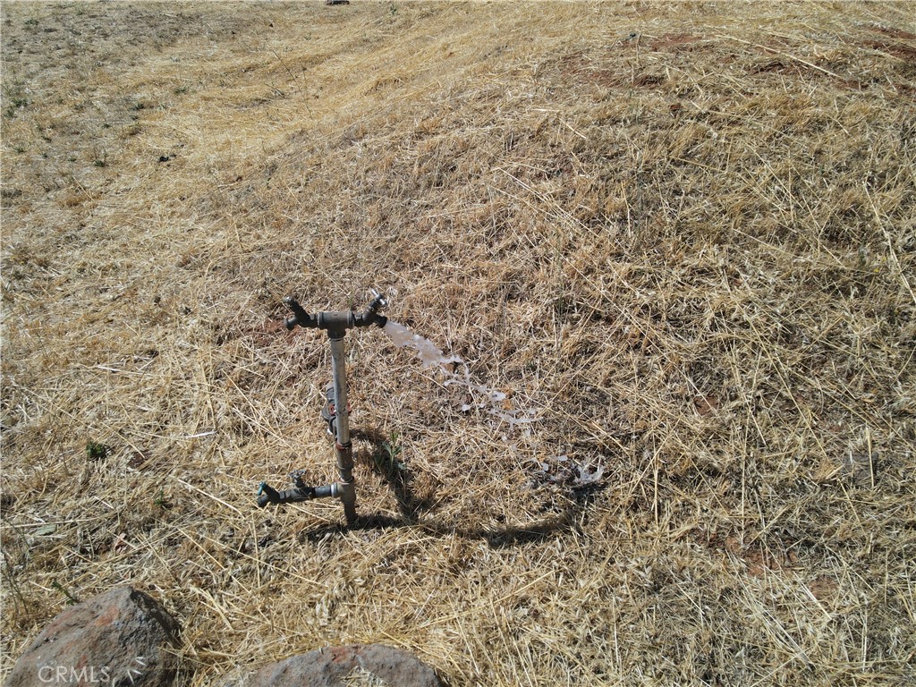 MLS #SN25263721 image #5