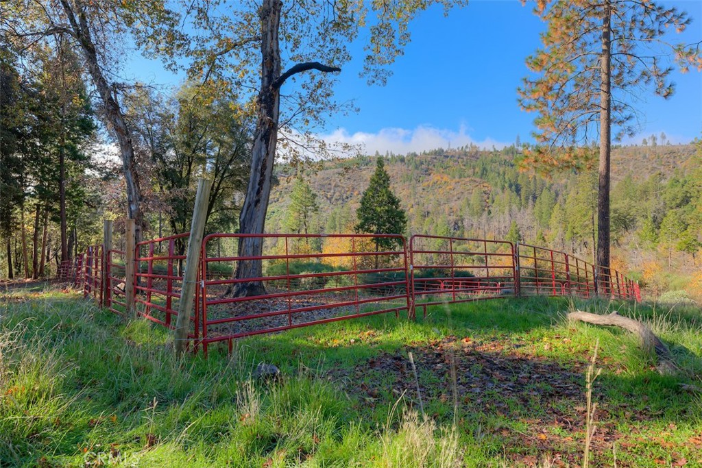 MLS #SN25263969 image #19