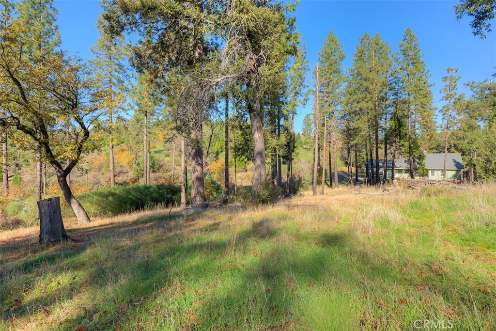 MLS #SN25263969 image #26