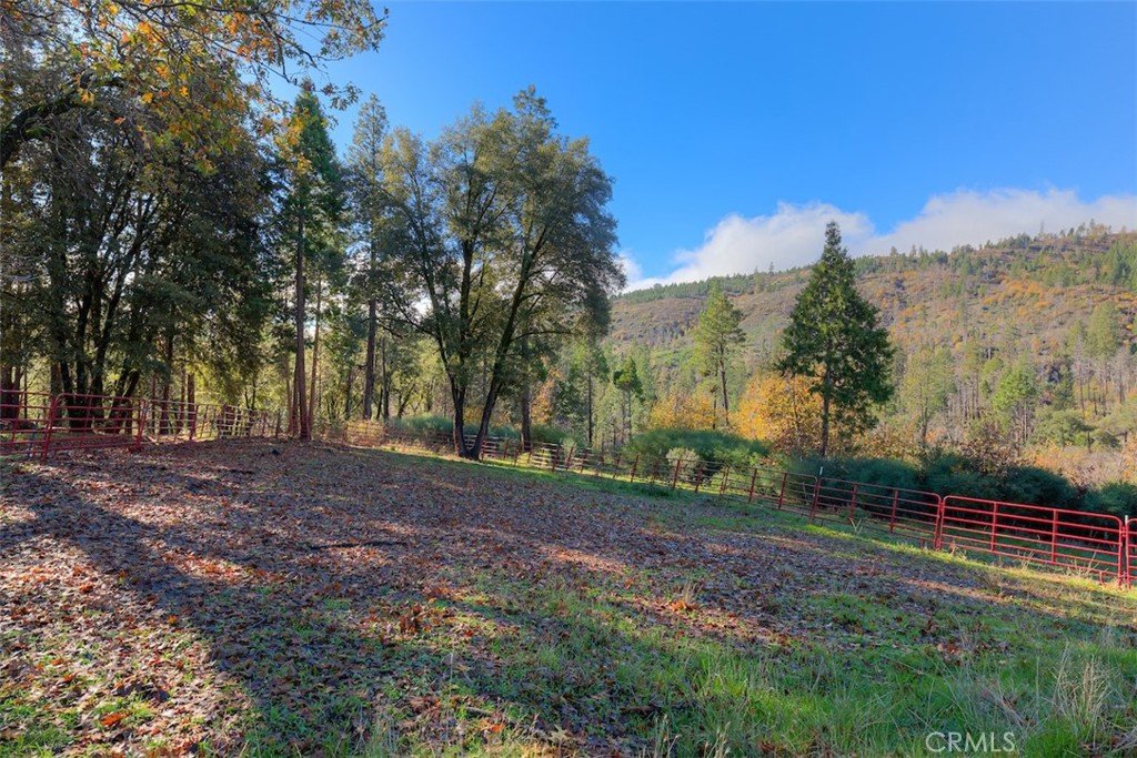 MLS #SN25263969 image #29