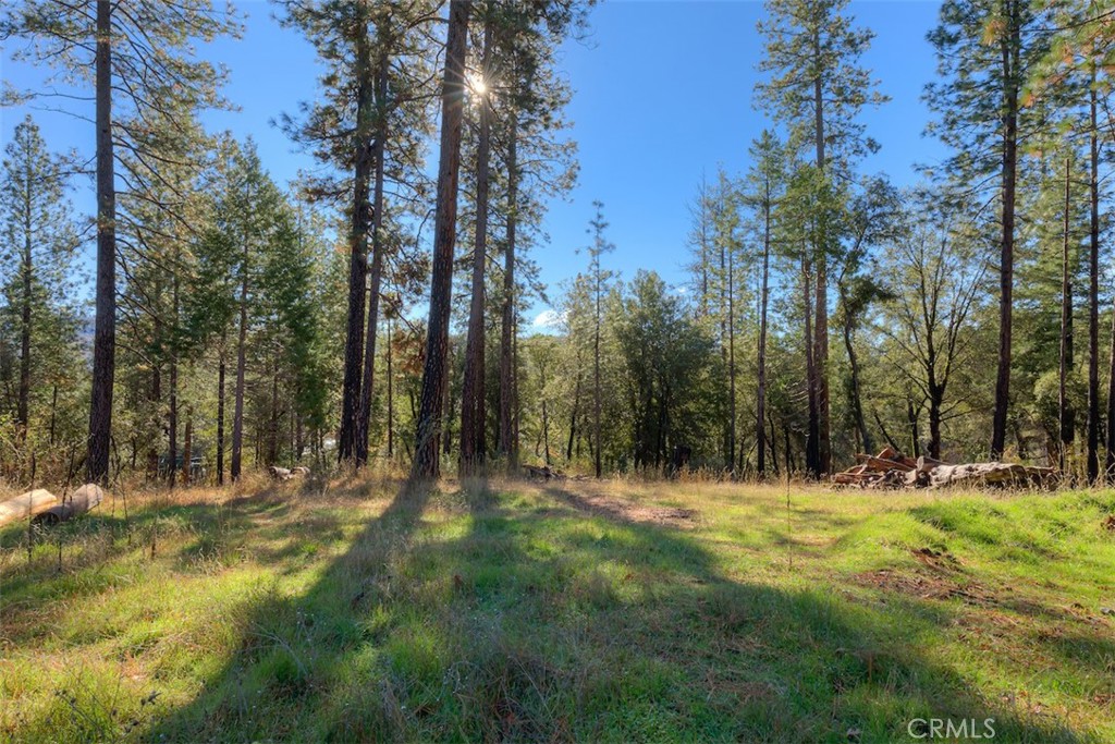 MLS #SN25263969 image #30