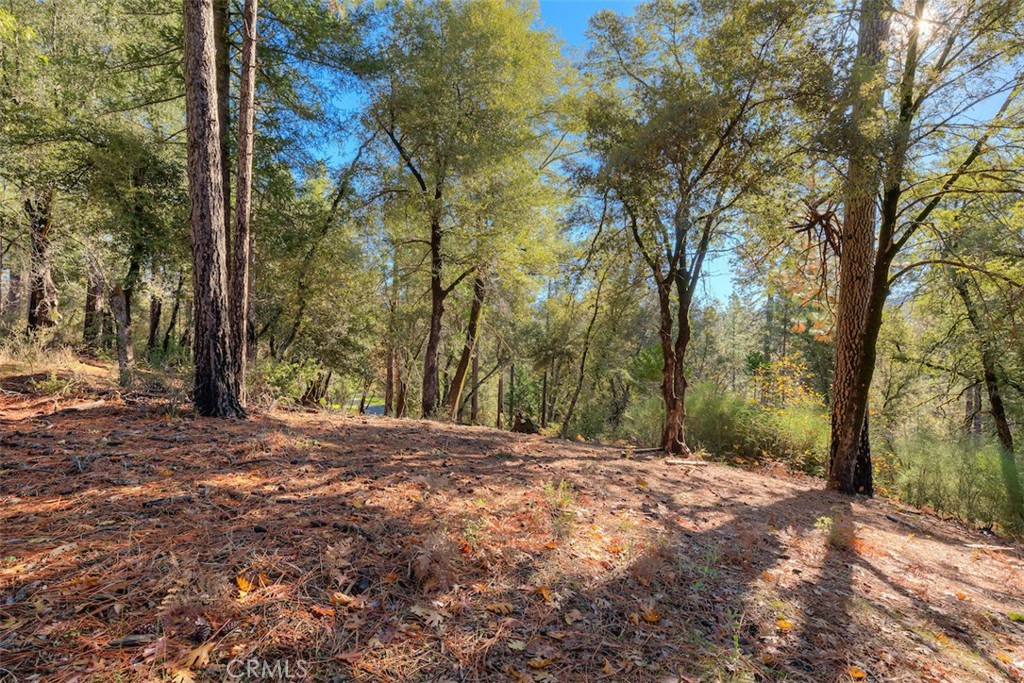 MLS #SN25263969 image #31