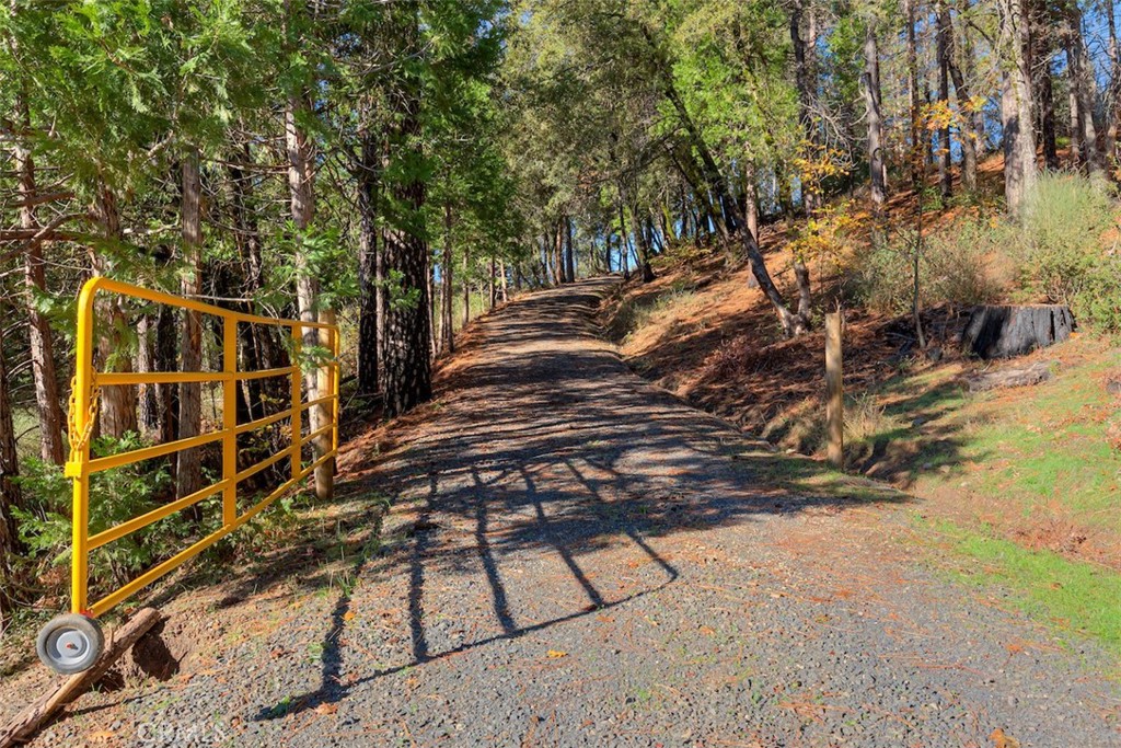 MLS #SN25263969 image #32