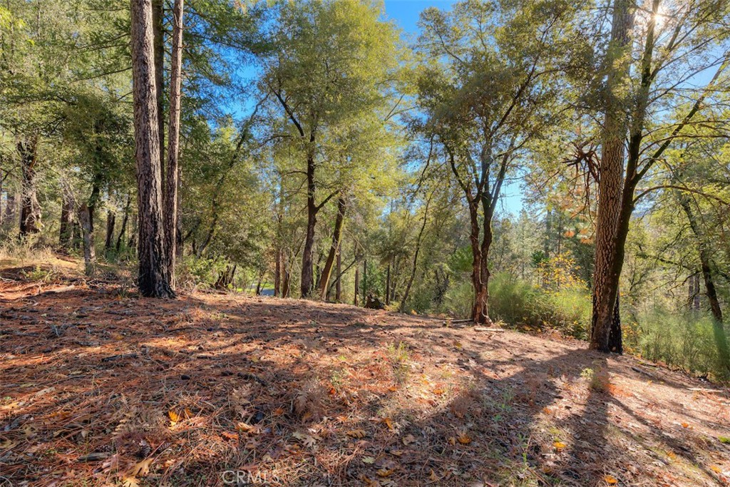 MLS #SN25263969 image #33