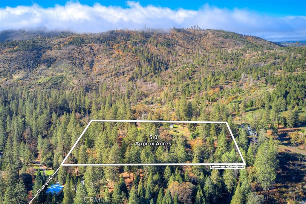 MLS #SN25263969 image #36