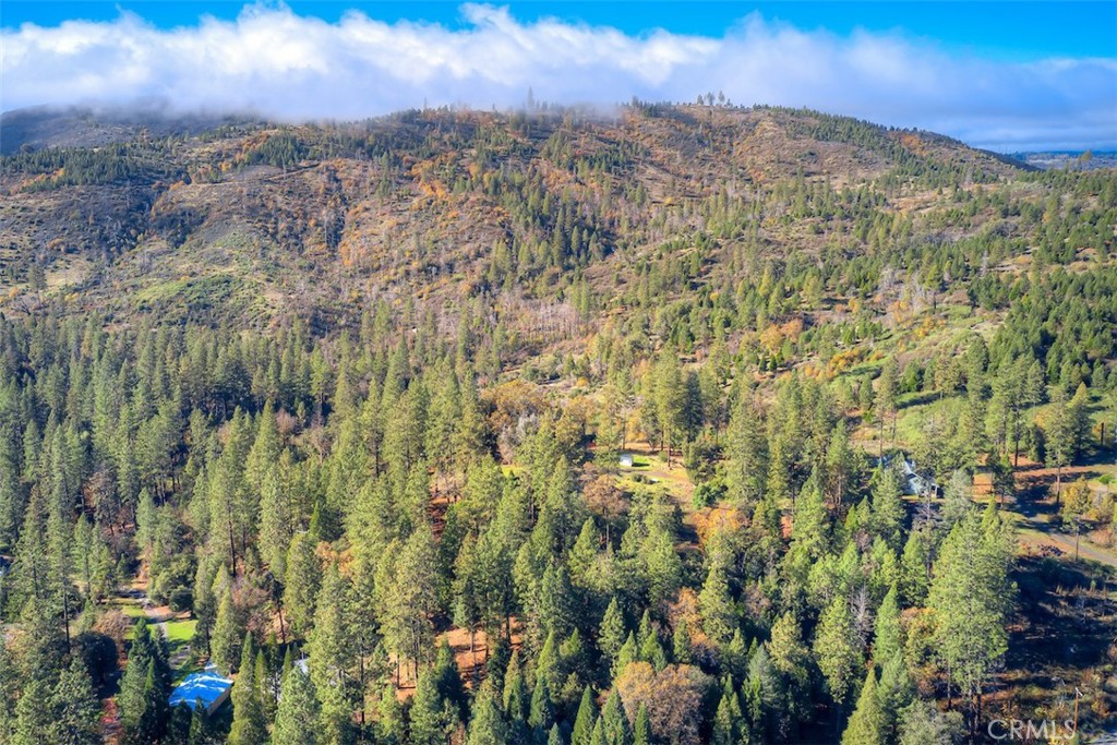 MLS #SN25263969 image #37