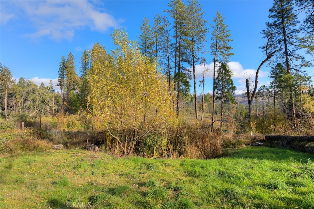 MLS #SN25264107 image #36