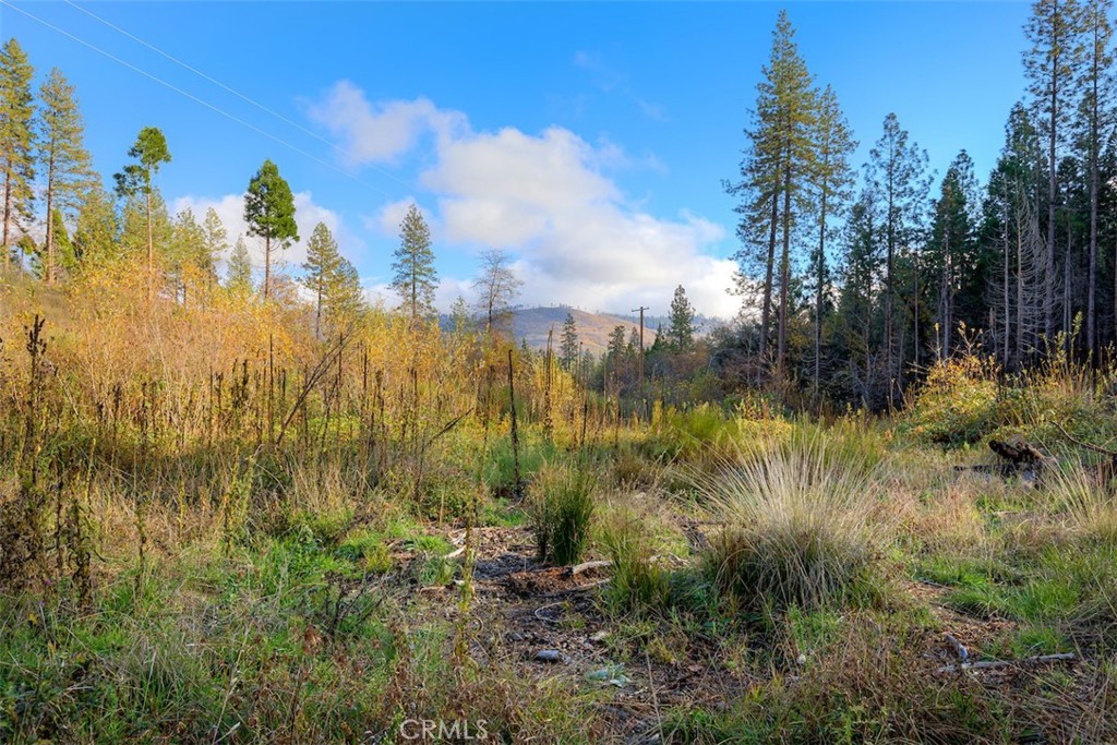 MLS #SN25264107 image #37