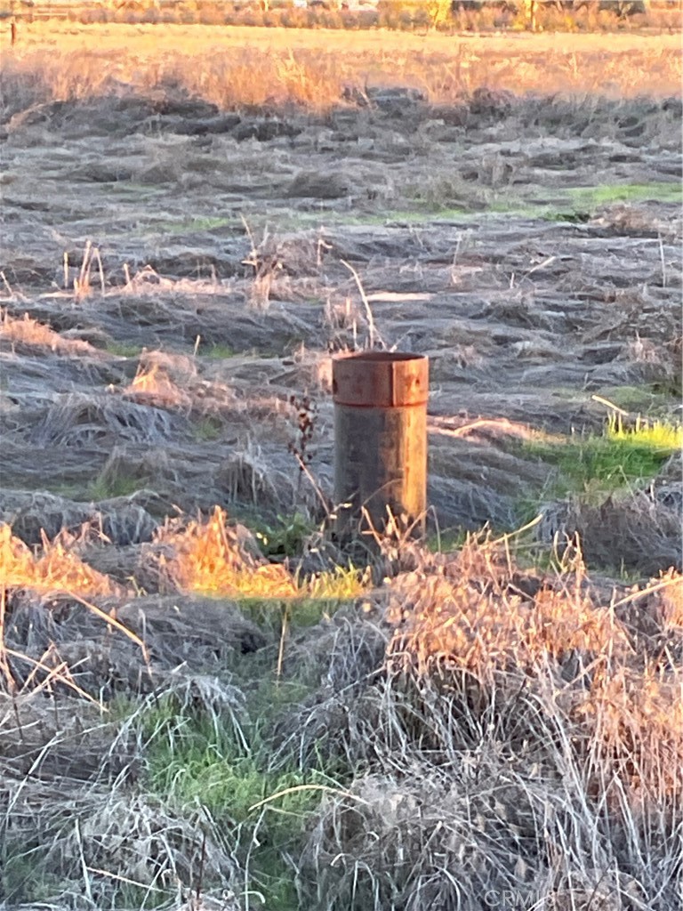 MLS #SN25264818 image #5