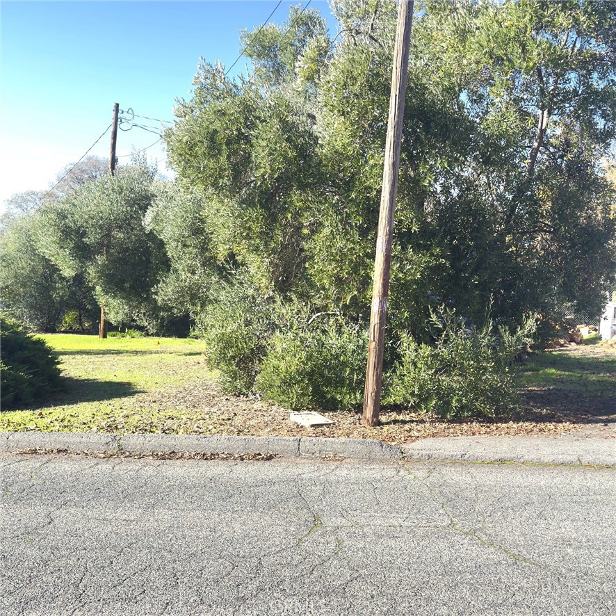 MLS #SN25267602 image #3