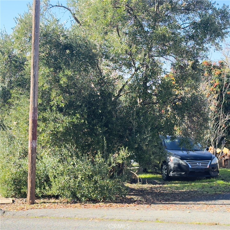 MLS #SN25267602 image #4