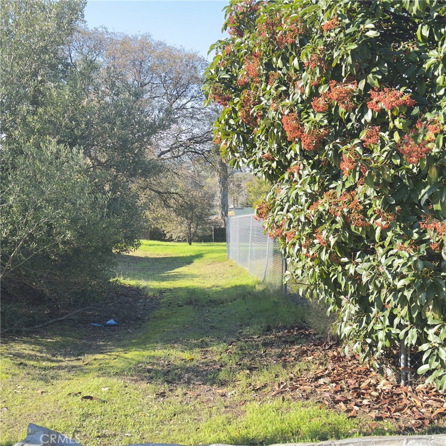 MLS #SN25267602 image #7