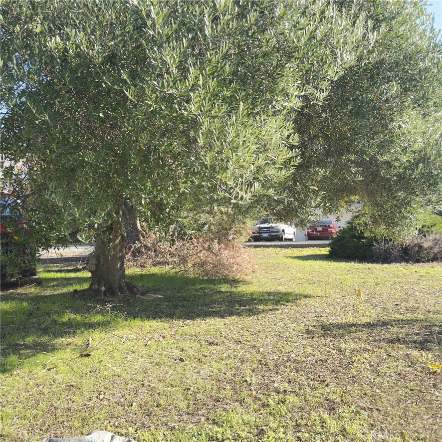 MLS #SN25267602 image #9