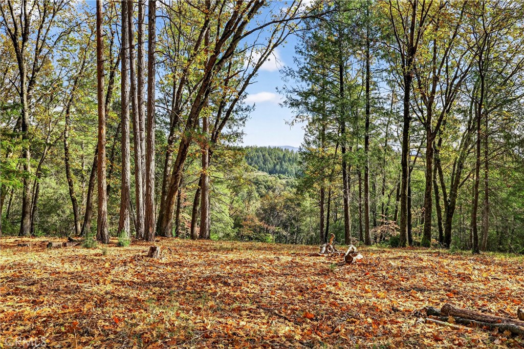 MLS #SN25270403 image #0