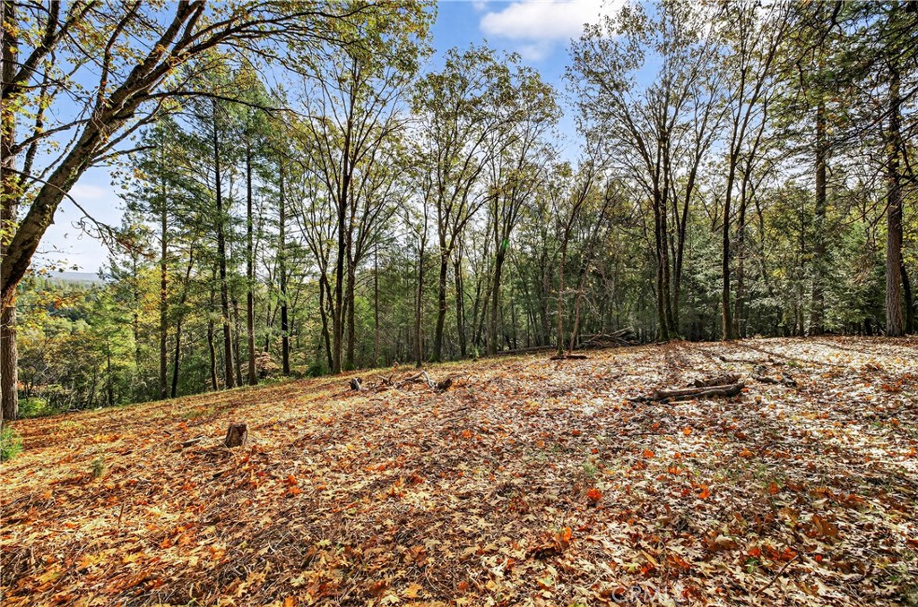 MLS #SN25270403 image #1