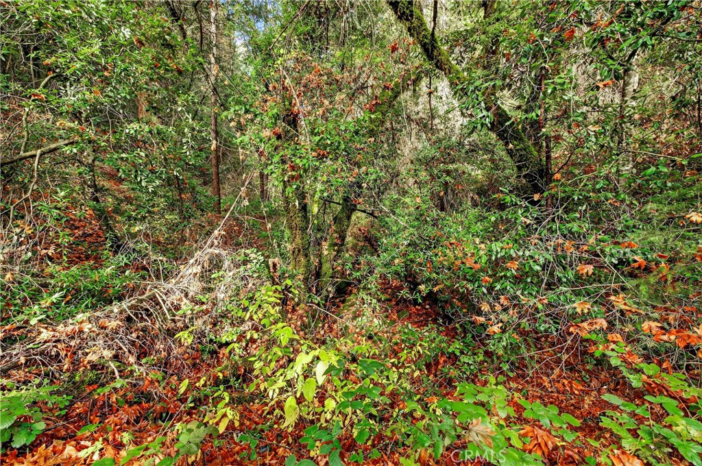 MLS #SN25270403 image #10