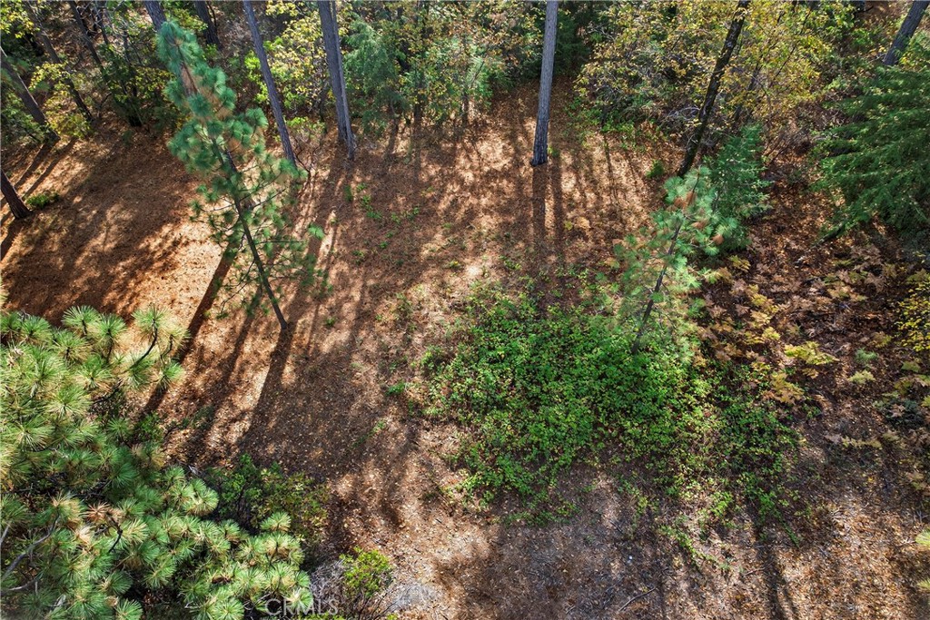 MLS #SN25270403 image #11