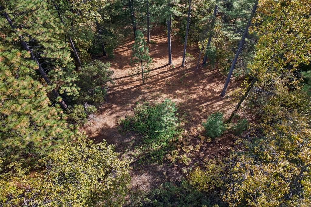 MLS #SN25270403 image #12