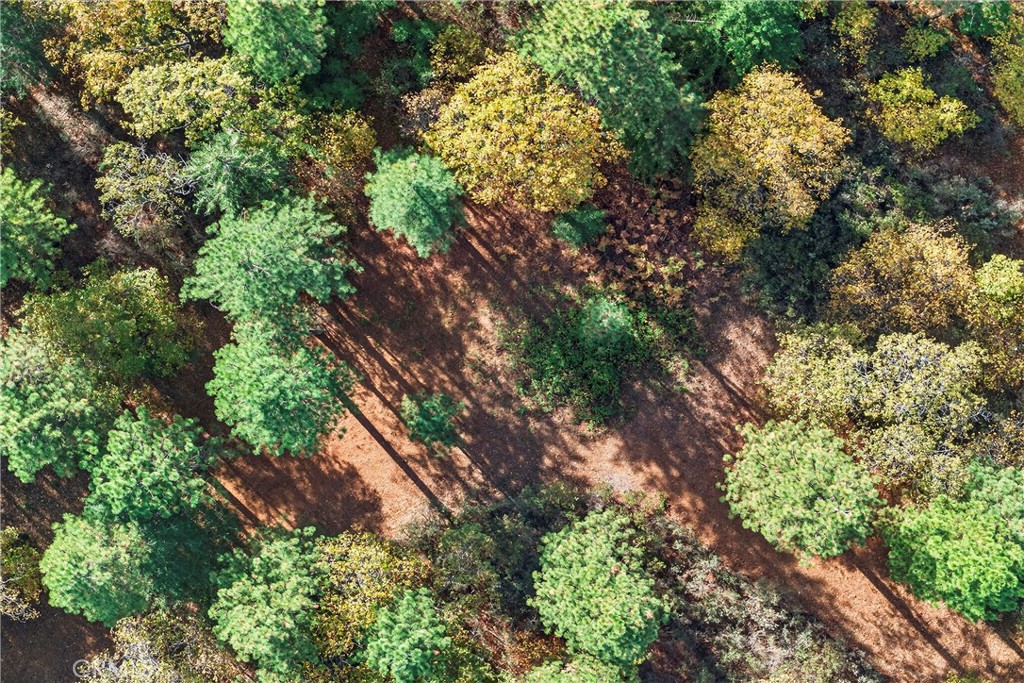 MLS #SN25270403 image #13