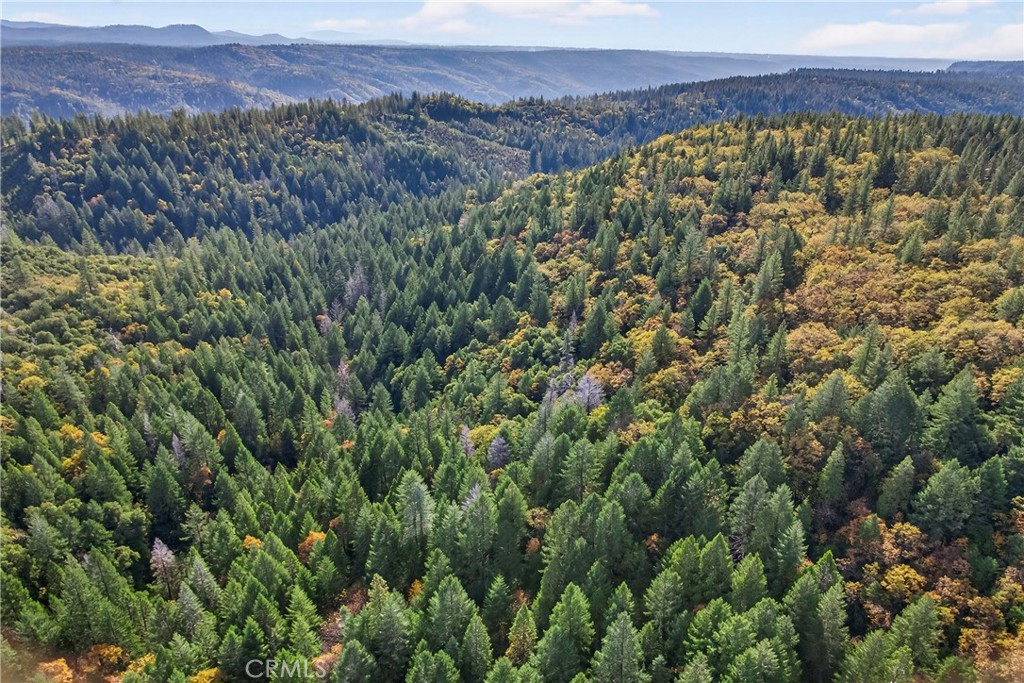 MLS #SN25270403 image #15