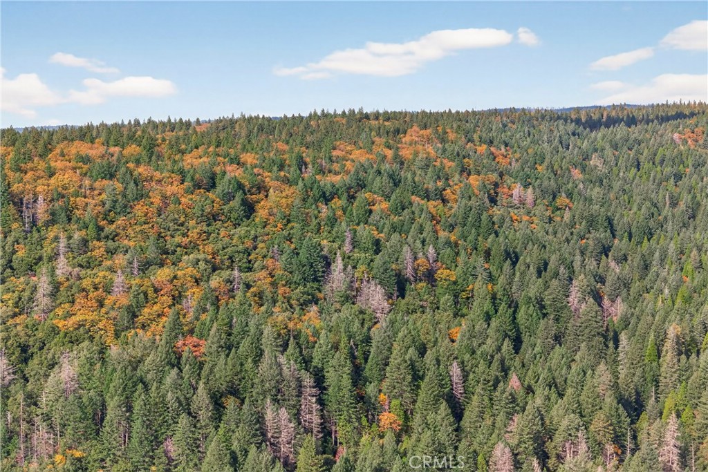 MLS #SN25270403 image #18