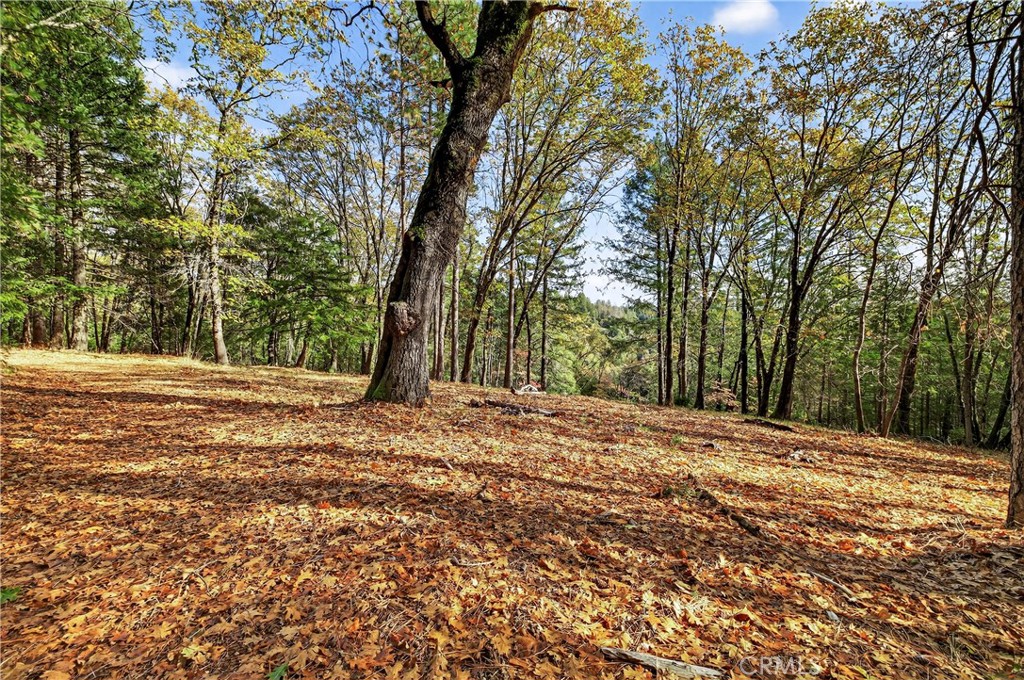 MLS #SN25270403 image #2