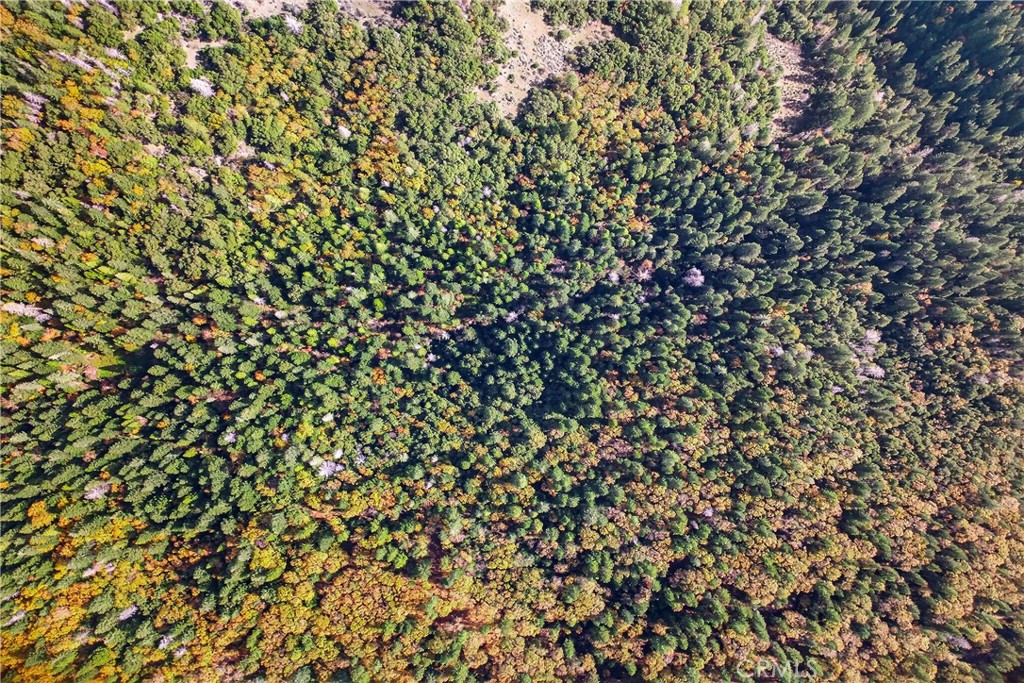 MLS #SN25270403 image #22