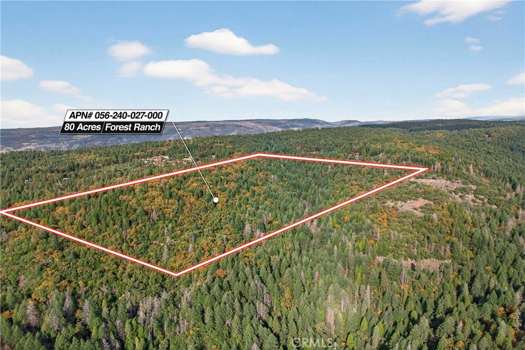 MLS #SN25270403 image #25