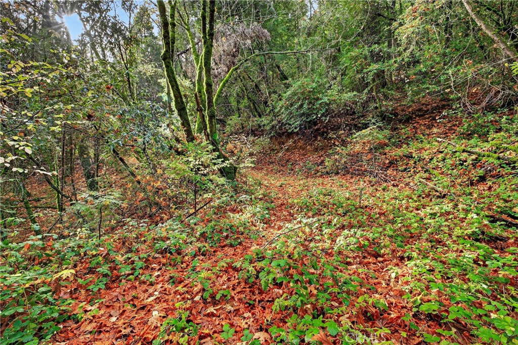 MLS #SN25270403 image #4