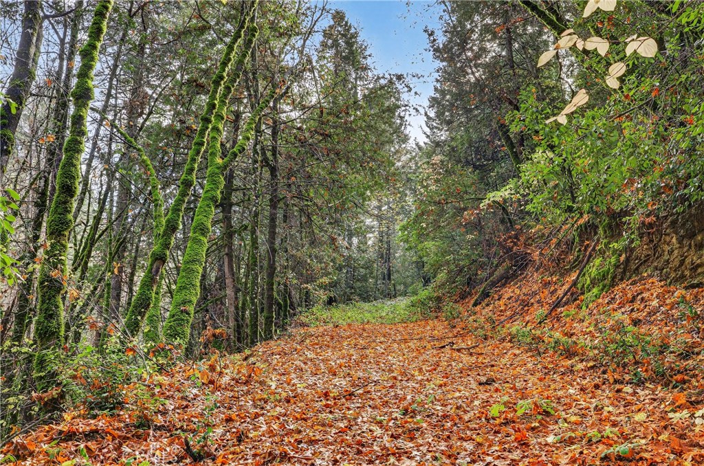 MLS #SN25270403 image #5