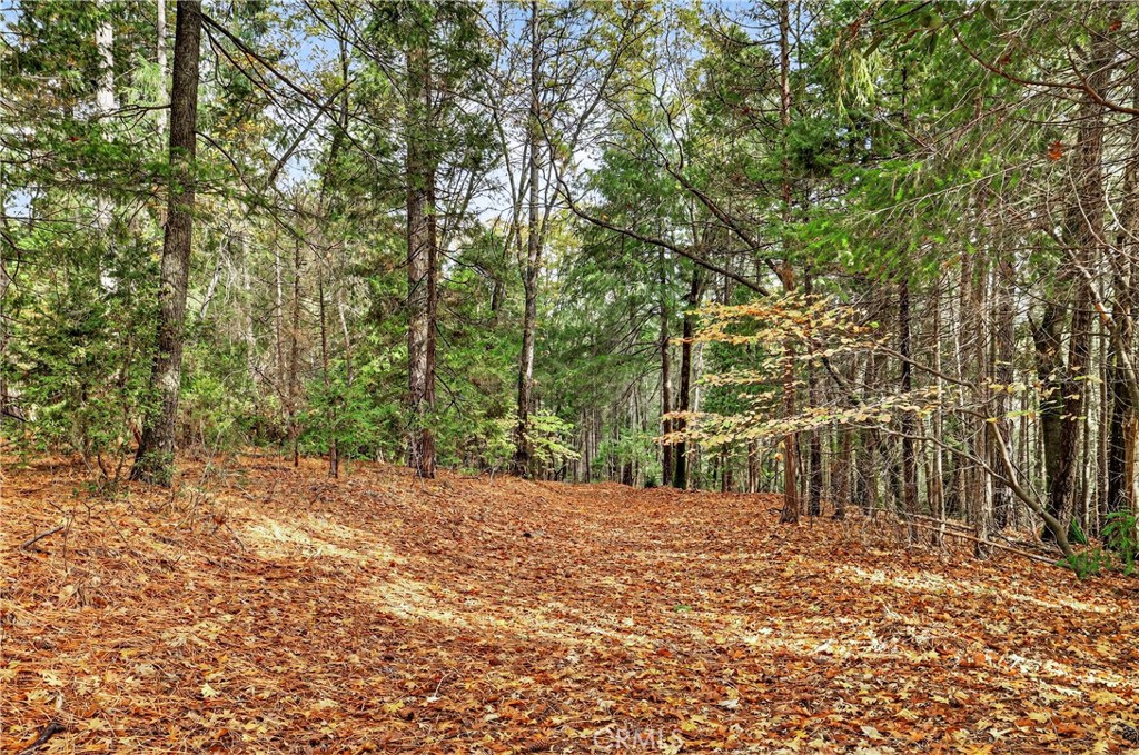 MLS #SN25270403 image #6