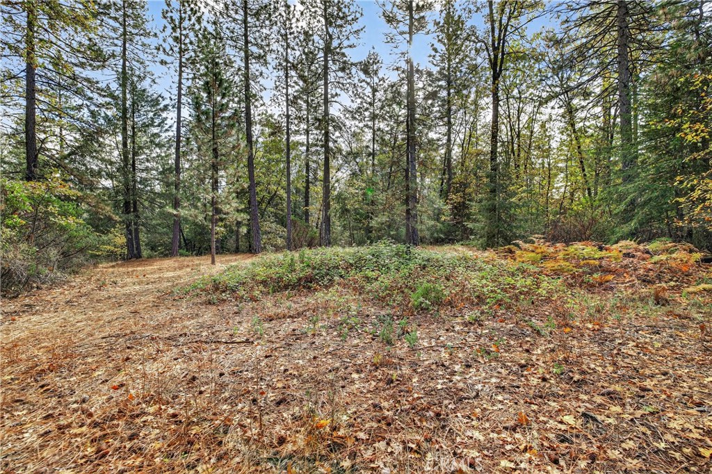 MLS #SN25270403 image #7