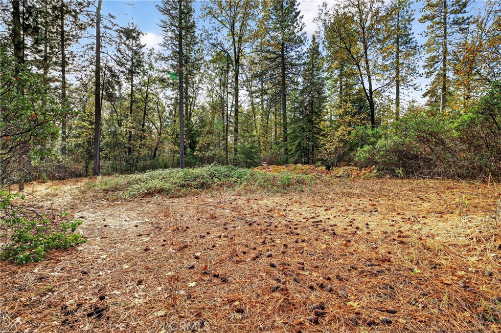 MLS #SN25270403 image #8