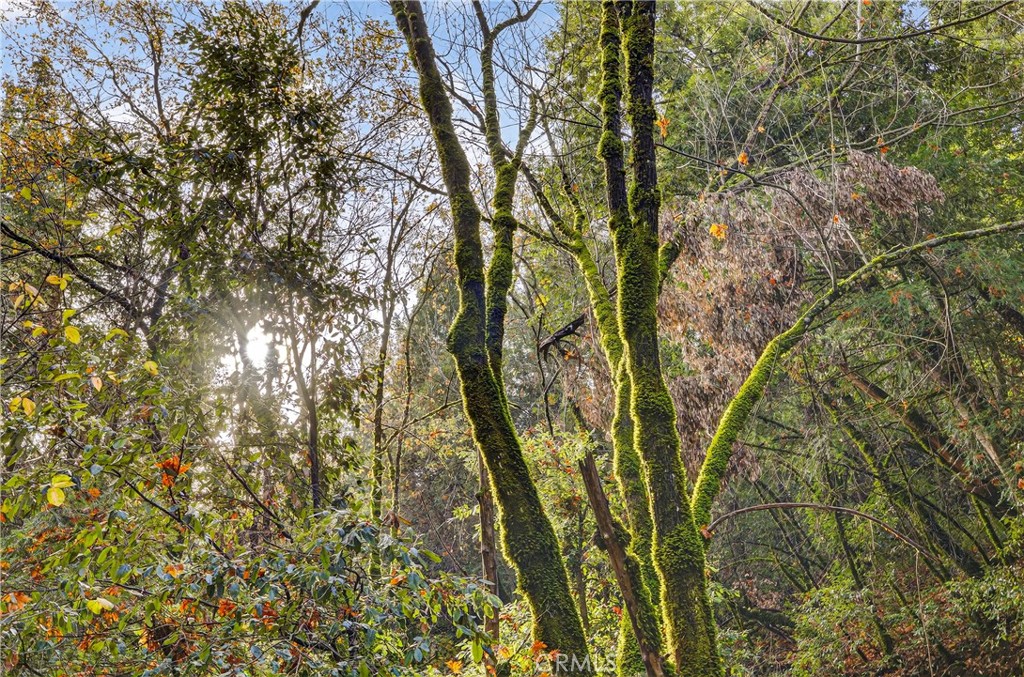 MLS #SN25270403 image #9