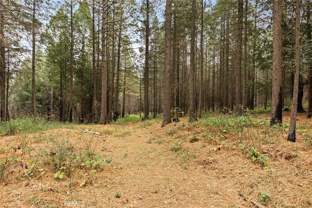 MLS #SN25271184 image #10