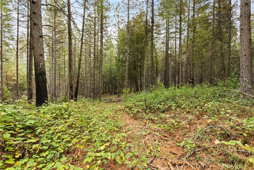 MLS #SN25271184 image #11