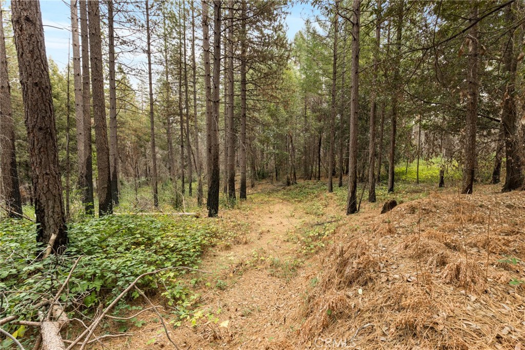 MLS #SN25271184 image #12