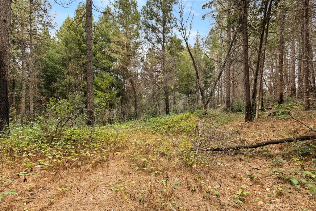 MLS #SN25271184 image #13