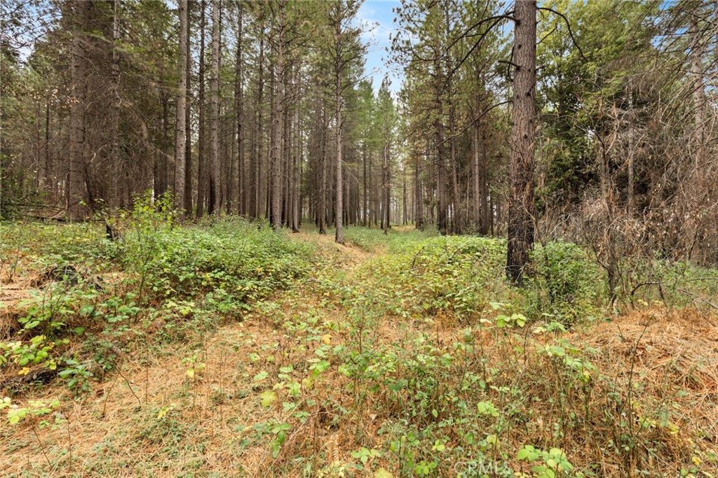 MLS #SN25271184 image #14