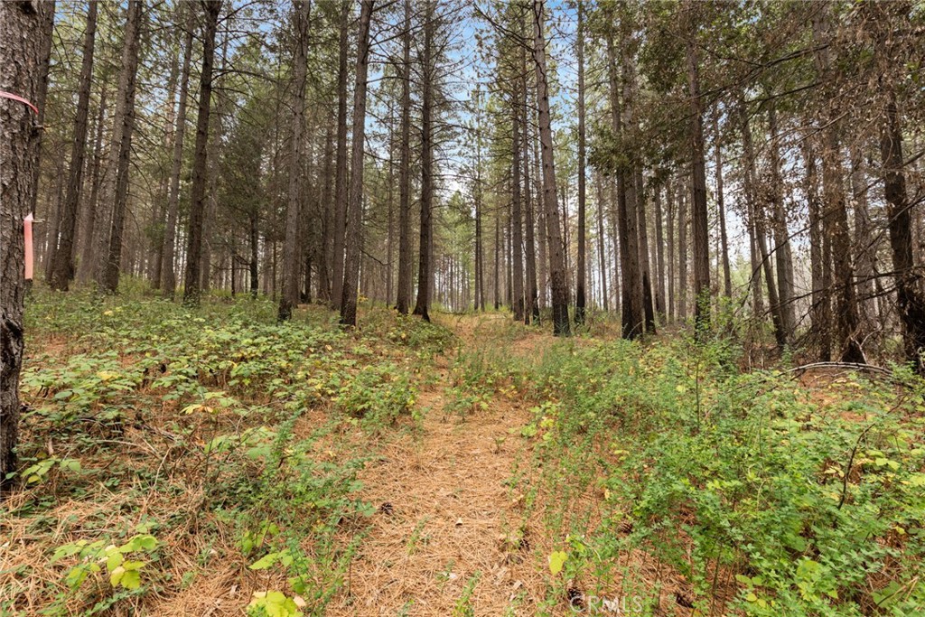 MLS #SN25271184 image #15