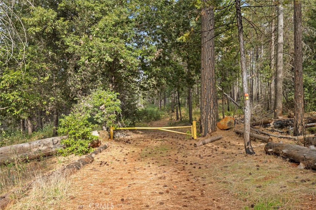 MLS #SN25271184 image #2