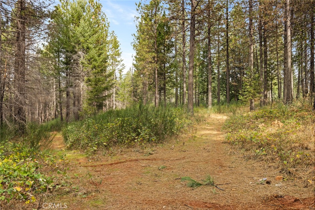 MLS #SN25271184 image #3