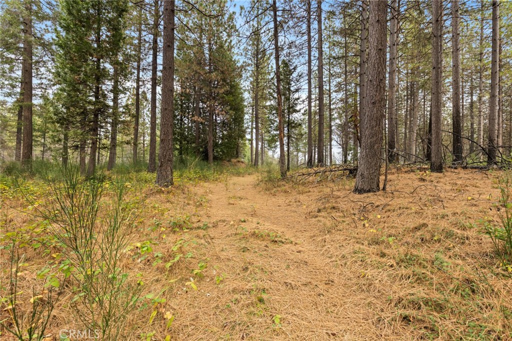 MLS #SN25271184 image #4