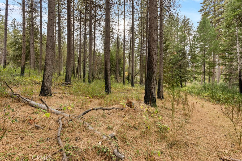 MLS #SN25271184 image #5