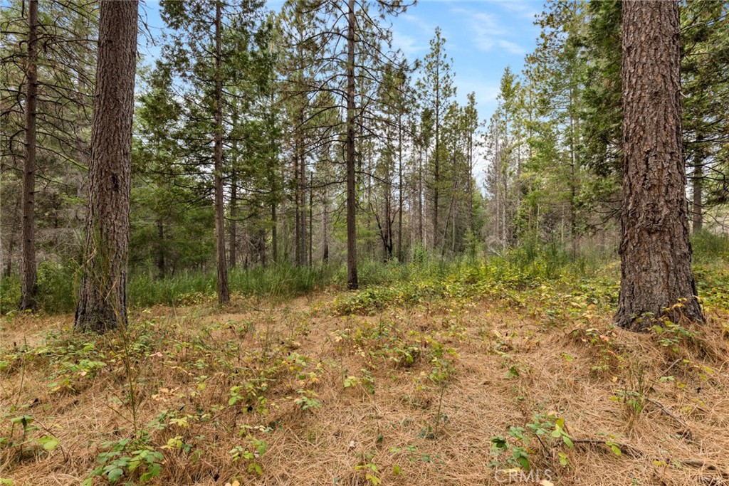 MLS #SN25271184 image #6