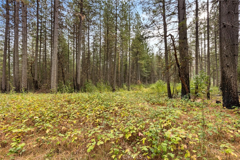 MLS #SN25271184 image #7