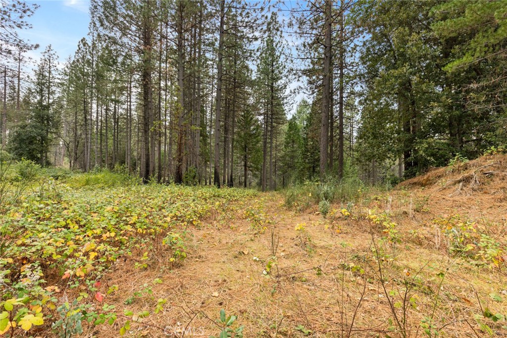 MLS #SN25271184 image #8