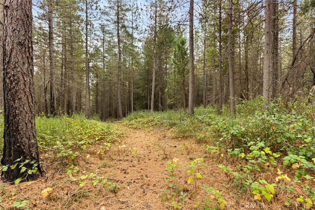 MLS #SN25271184 image #9