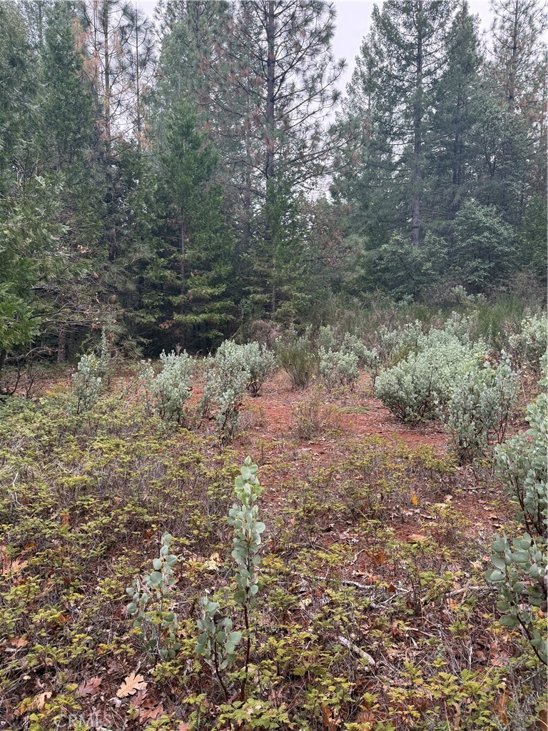 MLS #SN25271191 image #4