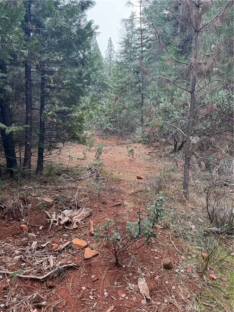 MLS #SN25271191 image #5